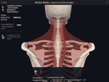Longissimus Colli Cervical Spine GIF - Longissimus Colli Cervical Spine Extension And Hyperextension GIFs