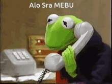 Kermit Mebu GIF - Kermit Mebu GIFs
