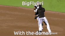 Big Fly Bri GIF - Big Fly Bri GIFs