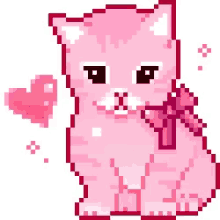 Cat Hearts GIF - Cat Hearts Cute GIFs