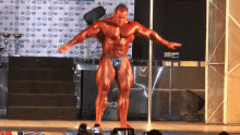 a bodybuilder in a blue bikini stands on a stage