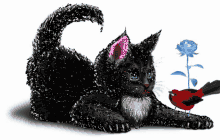 Szép Napot Cat GIF - Szép Napot Cat Kitty GIFs