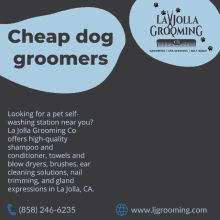 cheap dog groomers pet self wash near me dog grooming shop