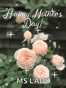a happy mother 's day greeting card with roses and the name ms lady on it .