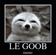 Le Goob Sinister GIF - Le Goob Sinister Grin GIFs
