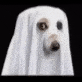 Halloween Dog GIF - Halloween Dog Dog Ghost GIFs
