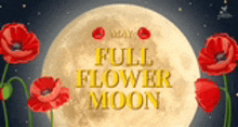 a full flower moon with red flowers in the foreground