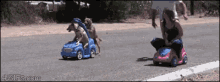 I'M Not Even Mad, I'M Impressed GIF - Racing Man Vs Dog Cooperation GIFs