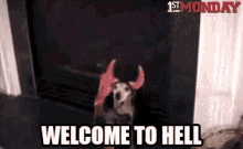 Welcome To Hell Dog GIF - Welcome To Hell Dog GIFs