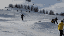 Ski Snow GIF - Ski Snow Fall GIFs