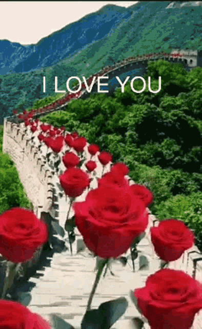 Great Wall Of China I Love You GIF - Great Wall Of China I Love You Ily -  Discover & Share GIFs