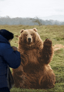 a man standing next to a large brown bear
