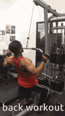 back workout gym exercise