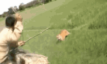 Tiger Scary GIF - Tiger Scary Closecall GIFs