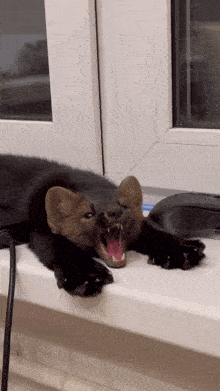 a black cat with its mouth open is laying on a window sill