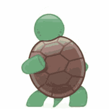 Skype Turtle Lovin It GIF