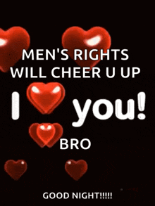 men 's rights will cheer you up i love you bro good night