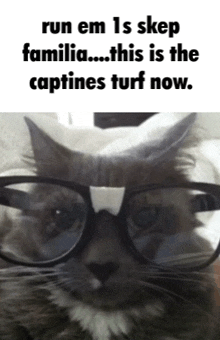 Captine GIF