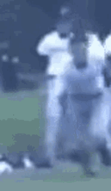 Officer Mike Mike GIF - Officer Mike Mike Baseball GIFs