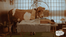Redefine Meat Newmeat GIF - Redefine Meat Newmeat Meatlover GIFs