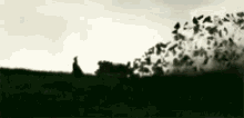 a person standing in a field with a flock of birds flying in the background