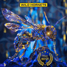 Wild Hornets Ukraine GIF - Wild Hornets Ukraine Drones GIFs