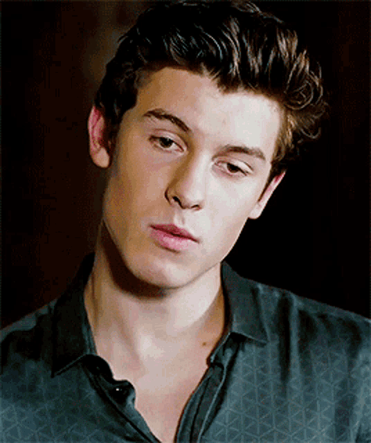 shawn mendes gif