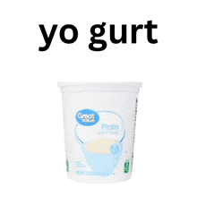 a container of great value plain yogurt with the word yo gurt above it