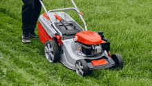 Lawn Dethatching Services Comprehensive Gardening Services GIF - Lawn Dethatching Services Comprehensive Gardening Services Grass Cutting Services Melbourne GIFs
