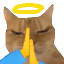 a cat with a yellow halo on its head is praying with its hands together .