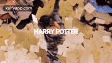 Harry Potter.Gif GIF - Harry Potter Collage Poster GIFs