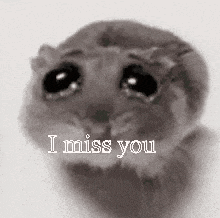 a hamster is crying with the words `` i miss you '' written on its face .