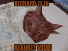 a cat is sleeping on a bed with the words richard is in blanket mode above it