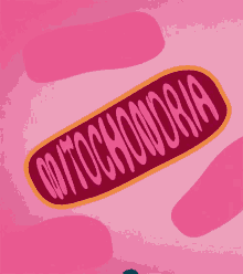Mitochondria Cells GIF - Mitochondria Cells O2 GIFs