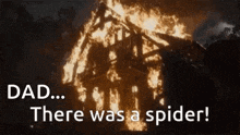 a burning house with the words `` dad ... there was a spider ! '' written on it .
