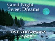 Good Night Poppi GIF - Good Night Poppi Sweet Dreams GIFs