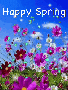 Happyspring Springisintheair GIF - Happyspring Springisintheair Springlove GIFs
