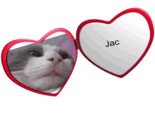 Jac Jac The Cat GIF