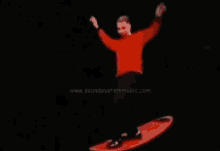 Ska The Porkers GIF - Ska The Porkers Surfing GIFs
