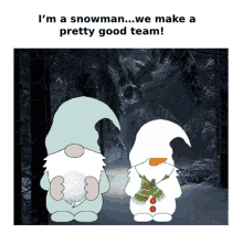 Animated Winter Gnomes Winter Sports GIF