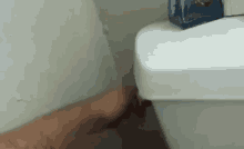 Emmanuel Matos Toilet GIF - Emmanuel Matos Toilet Flushing GIFs