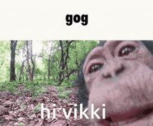 Gog Monkey GIF - Gog Monkey Vikki GIFs