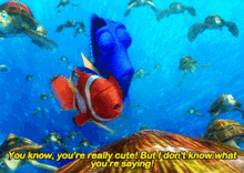 Finding Nemo Youre Cute GIF - Finding Nemo Youre Cute I Dont Know What Youre Saying GIFs