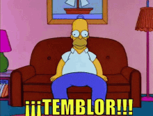 Homer Simpson Temblor GIF