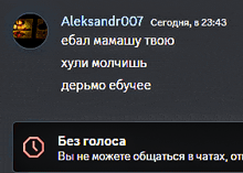 a screenshot of a conversation between aleksandr007