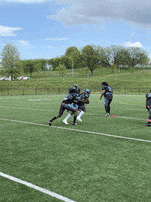 Dc Panthers Dcp GIF - Dc Panthers Dcp GIFs