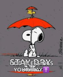 a cartoon of snoopy holding an umbrella with the words god blessings your way on it