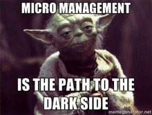 Micro Management GIF - Micro Management Yoda GIFs
