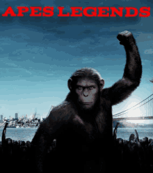 Apes Legends GIF