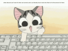 Hacker Cat Hacking GIF - Hacker Cat Hacking Discord GIFs